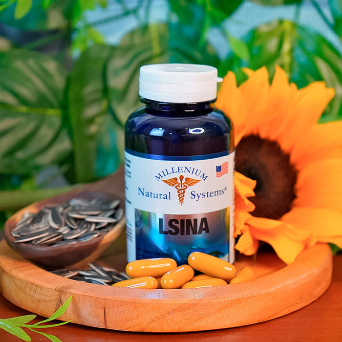 Lsina (lisina) 700 mg x 60 Softgels Natural Systems Millenium