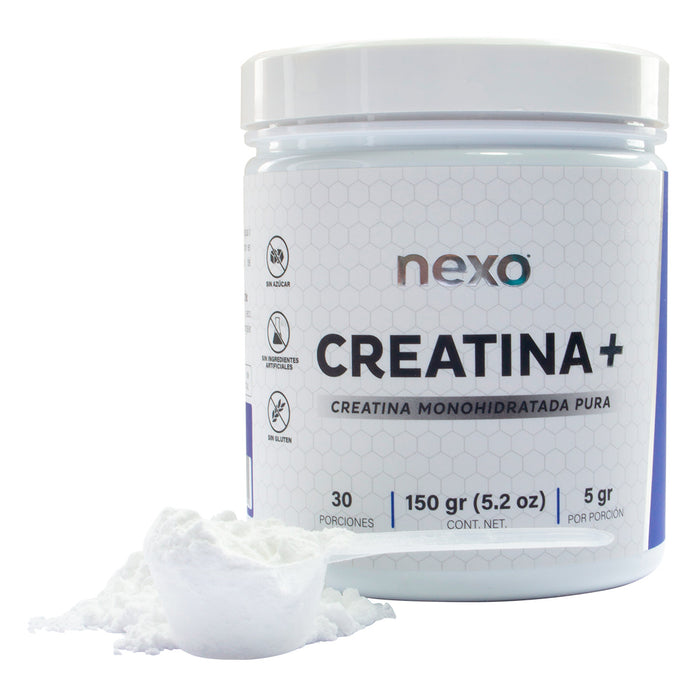 Creatina Monohidratada 150 gramos sin Sabor Nexo