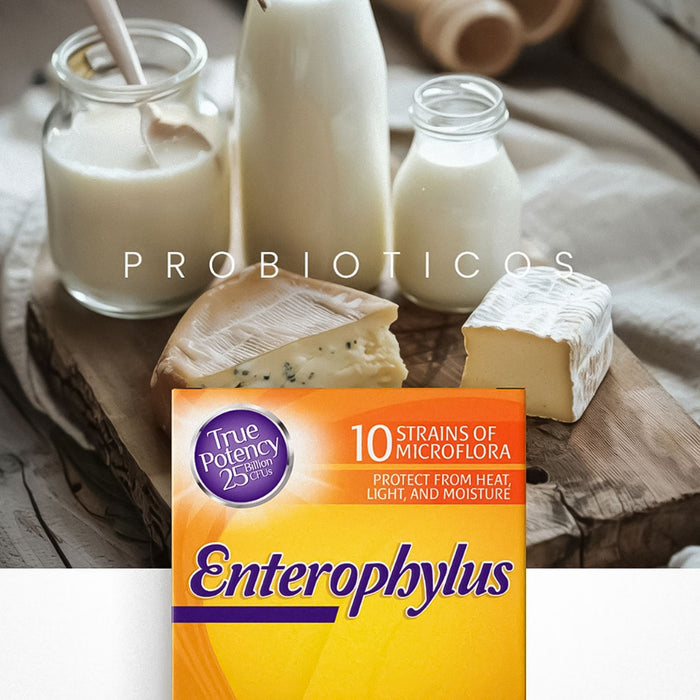 Enterophylus 60 Cápsulas Probióticos Healthy America